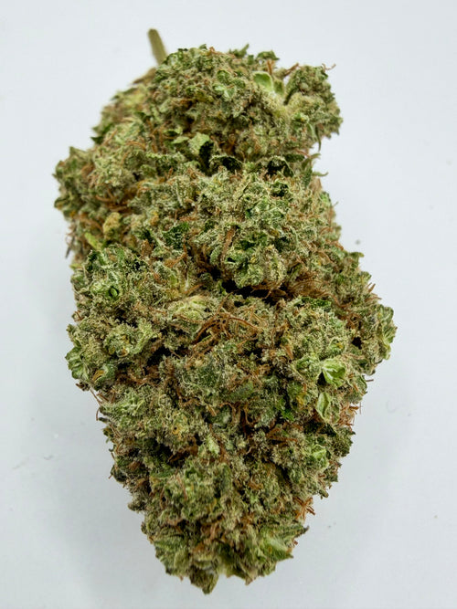 AK 47